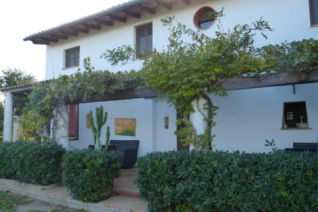 Cortijo Con Encanto Cullera